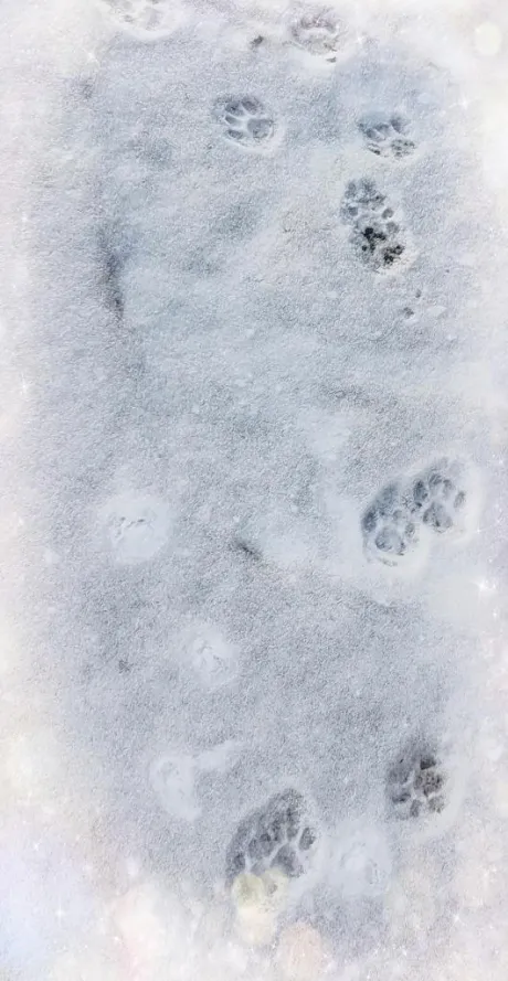 まさみ　奥様SUTEKIな奥様は好きですか？