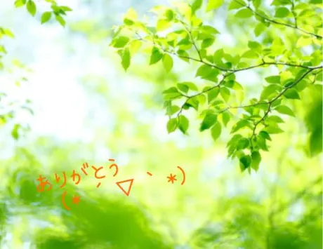 ゆきえおばさんの店