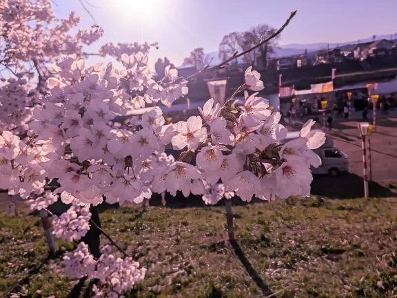 なみおばさんの店　仙台FC