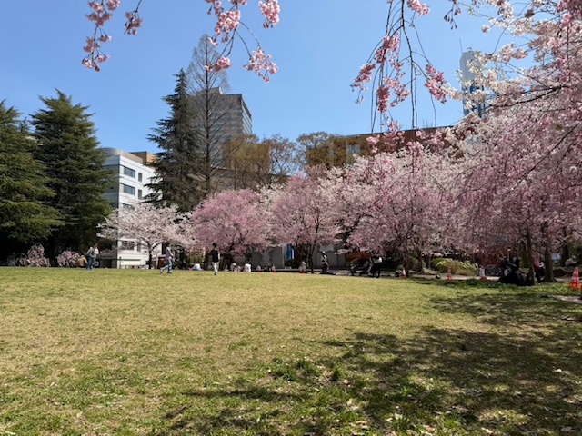 ことみ仙台人妻花こよみ
