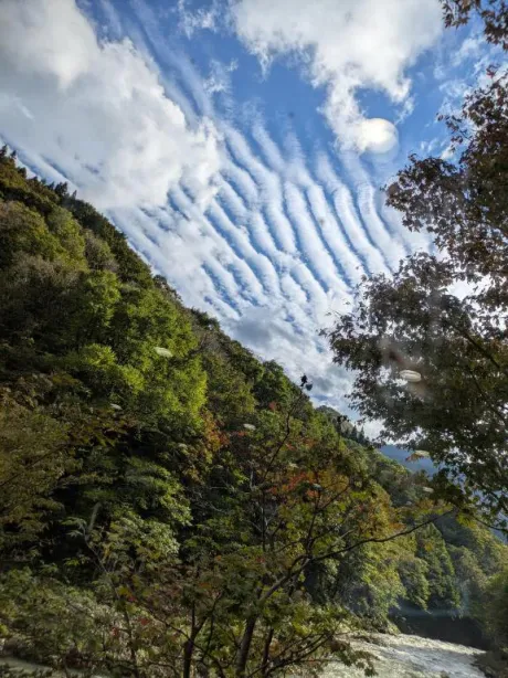 ちさきおばさんの店　FC　古川店