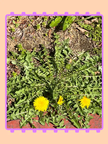 ちか奥鉄オクテツ仙台店（デリヘル市場グループ）