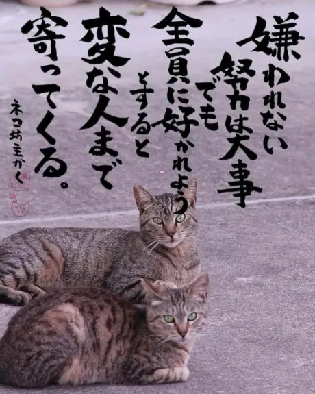 おはようございます♡