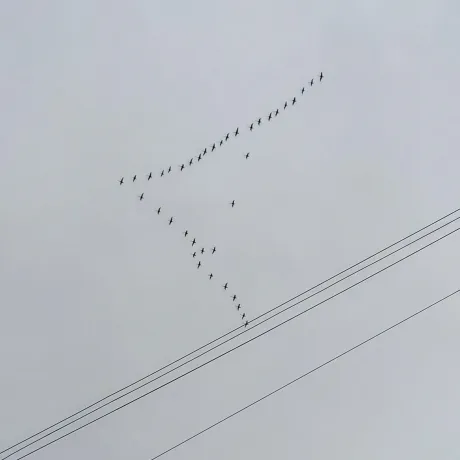 今田　こころのブログ 出勤しました～