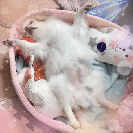 テスト