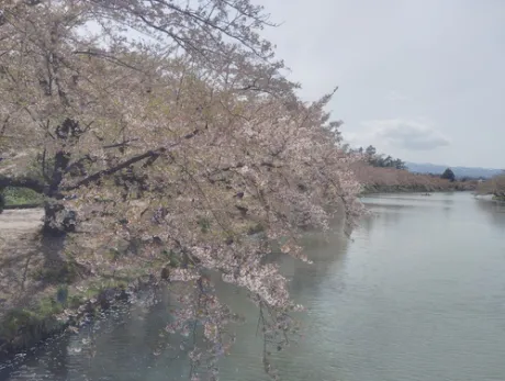 かな(喘ぐ！潮吹く！の超淫乱ドM)デリボックス