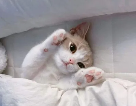 明日出勤♪/ゆりか