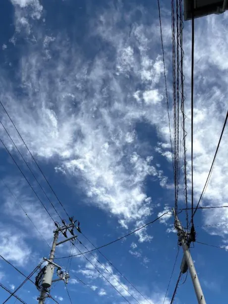 おはよう☀️/こはる