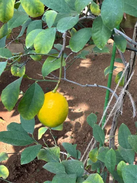 4／3 ヒミツホテルのお客様へ📝/みひろ