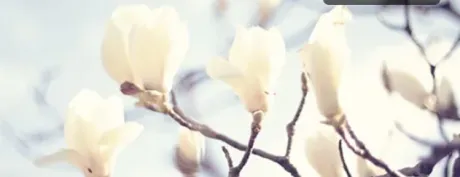 【人妻コース】ちさとMy Lover 三沢