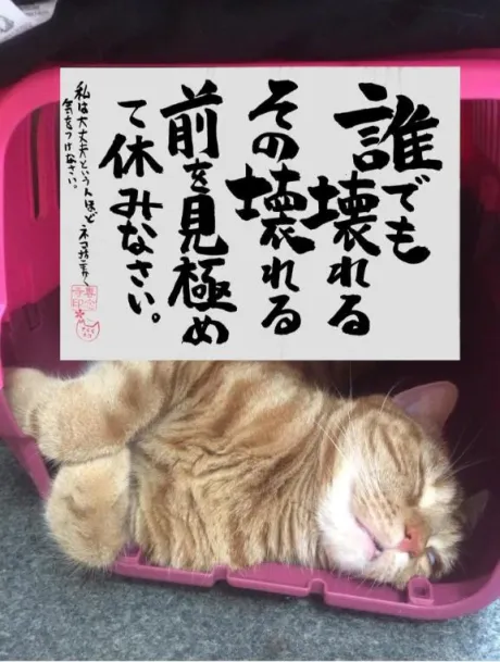シオン人妻生レンタルーNTRー