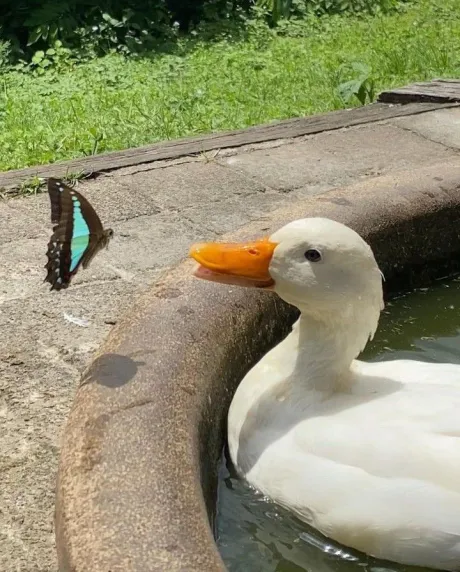 08/24 10:35Nozomiノゾミ[青森]