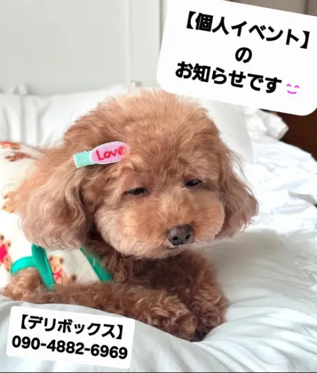 ★個人イベント情報🎉★/めい (魅惑のEカップ、パイパン嬢)