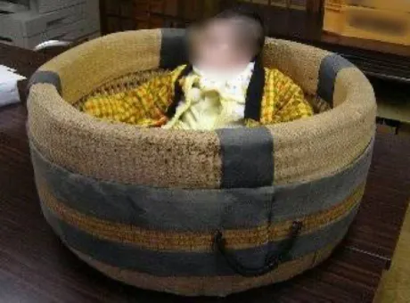 おはようございます