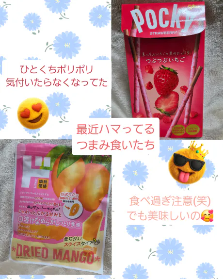 透(トウル)美乃華