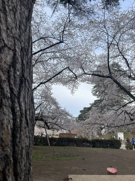 昨日のお礼💌/ななみ【弘前黒石】