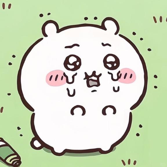 お知らせです😿