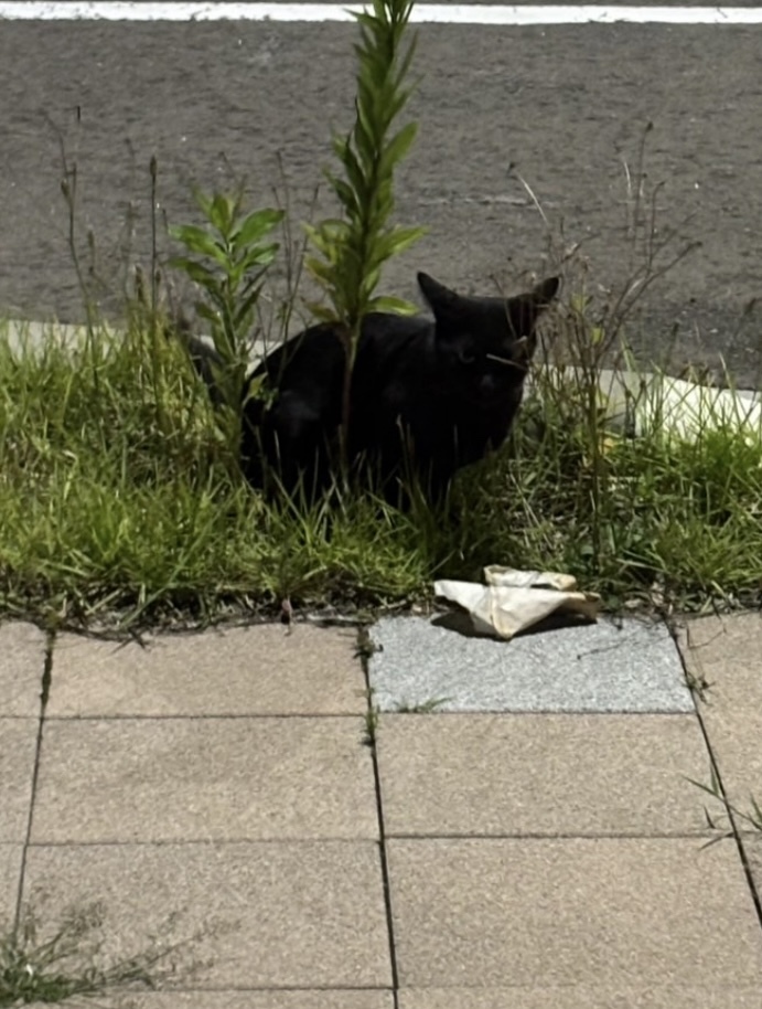 ^._.^/ルア【EDENコース】青森・弘前出勤