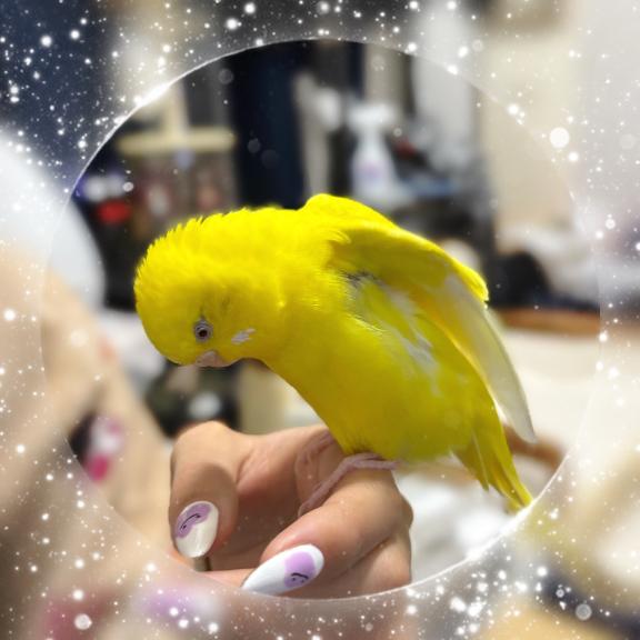 なんかついてるよ💕