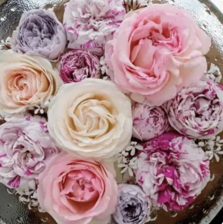 【人妻コース】ちさとMy Lover 三沢