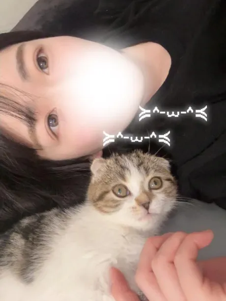 ふたばTEKOKI GIRLS COLLECTION