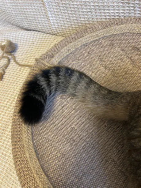 ゆうな 奥様仙台人妻セレブリティー