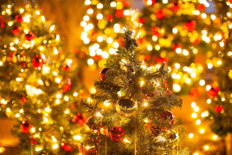 明日も…/はるな【青森大釈迦】