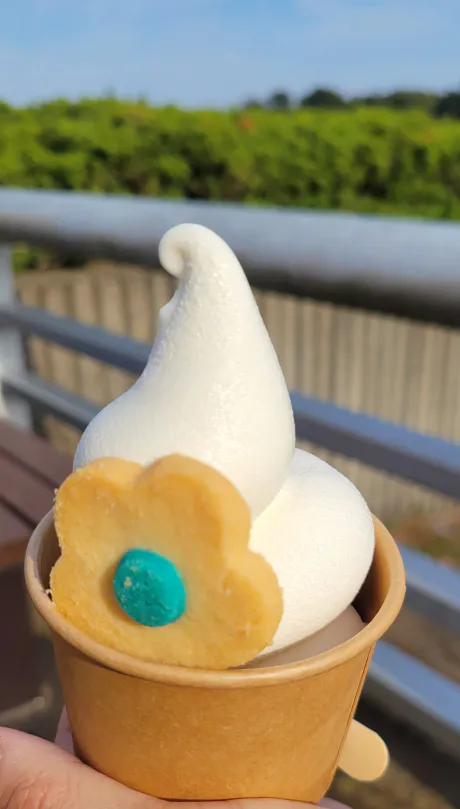 本日出勤です♪/前田　千穂