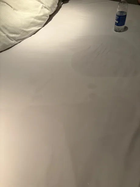 よーく見てね 👀💕/ミク