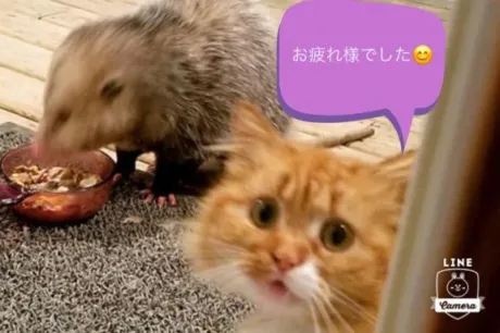 りく☆弘前青森･弘前人妻デリヘル桃屋