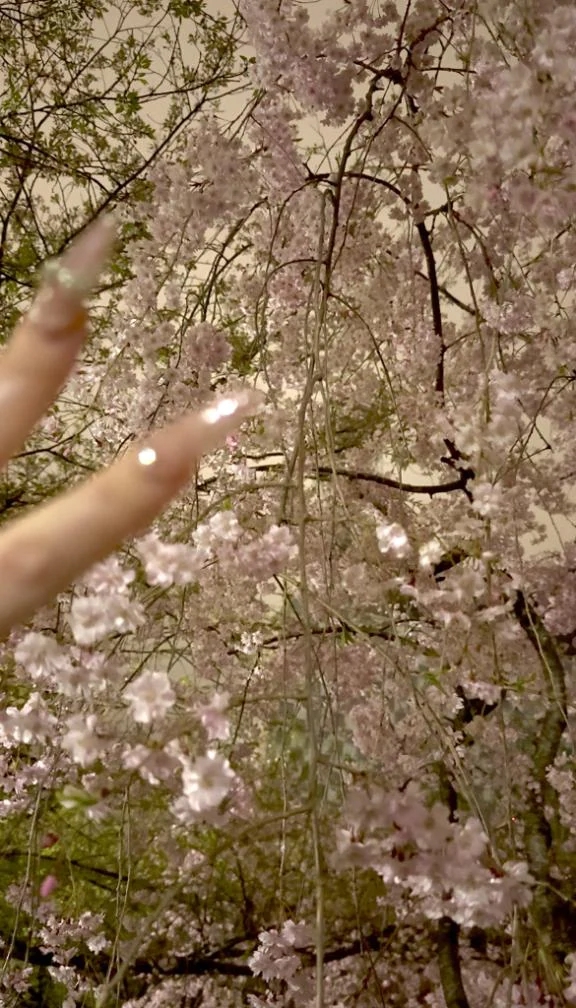 いちばんすきな🌸/エム