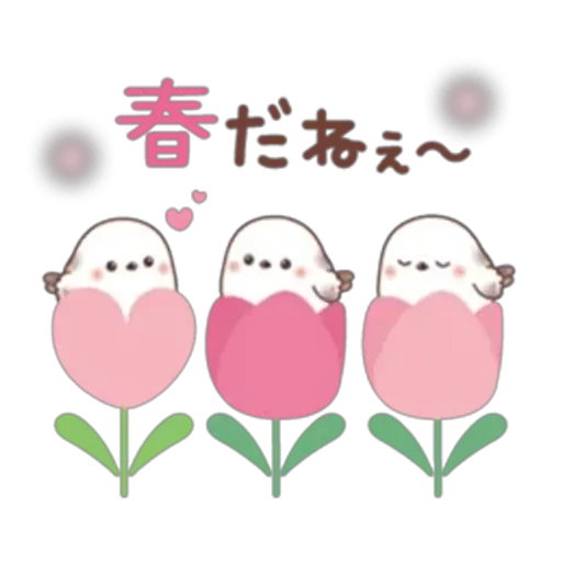 ついに/緊急入店りのあ【弘前】