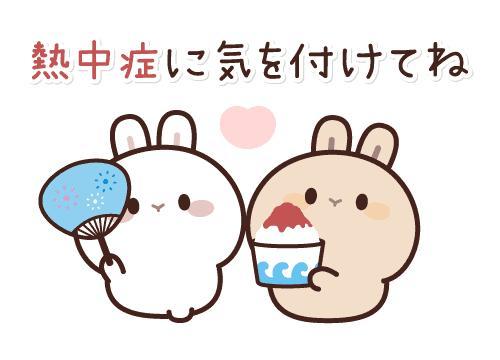 こんにちは！