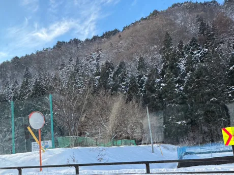 ももこ仙台人妻花こよみ