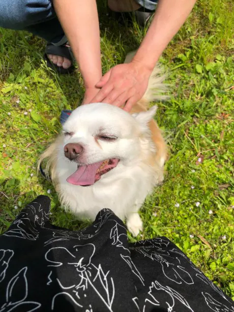 5月も