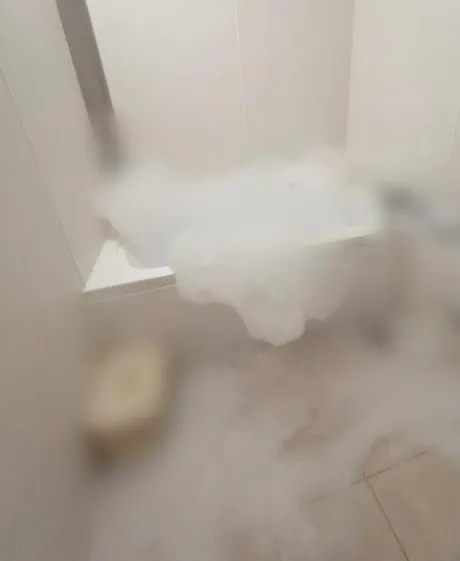 放置してました…/ひな