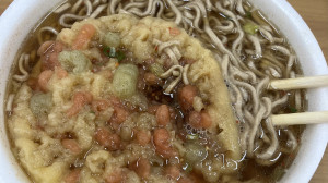 初詣はしてないの。