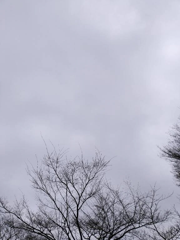 シオン人妻生レンタルーNTRー