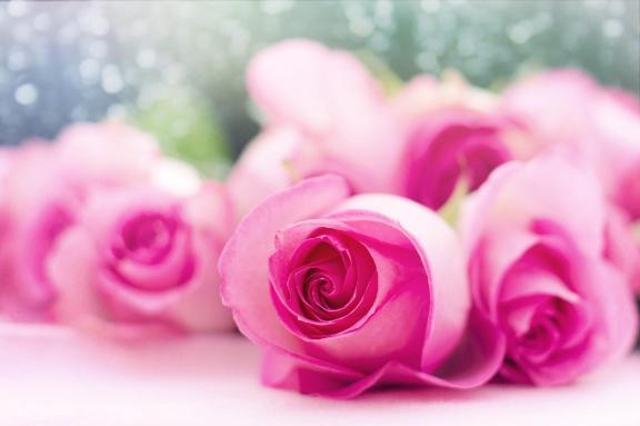 出勤のお知らせ🌷