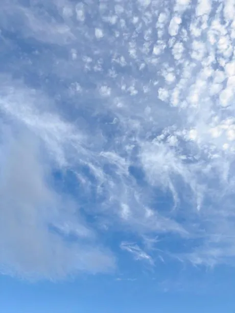 風俗初体験 こはく3年H組