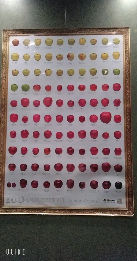 3/5　ビジホのお兄さんへ/緊急入店マオリ(弘前)