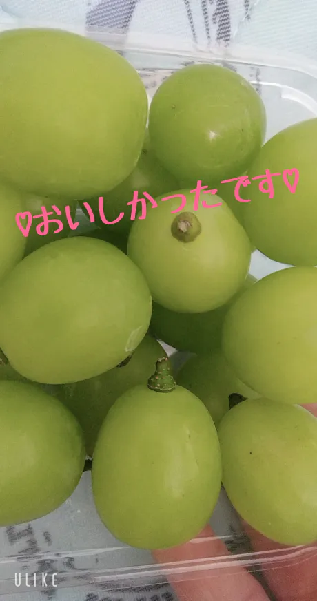 緊急入店りのあ【弘前】青森4ch