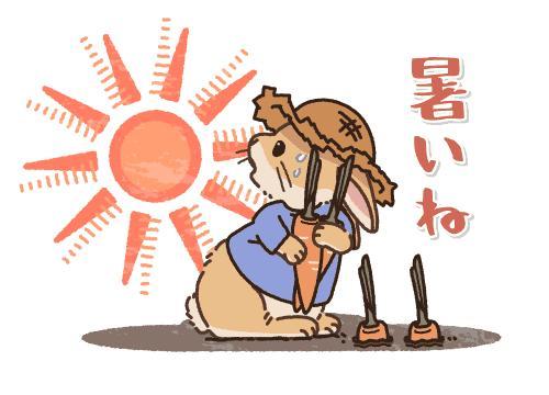 暑いですね🌡