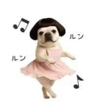 尽くしたいタイプでチュッ💋➰💕/華恵-はなえ-