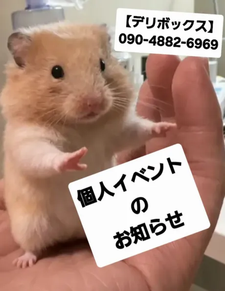 めい (魅惑のEカップ、パイパン嬢)デリボックス