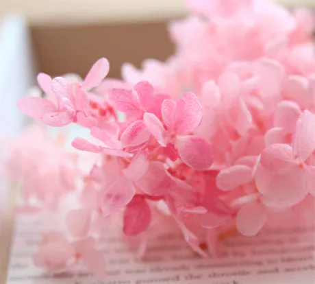 そら仙台人妻花こよみ