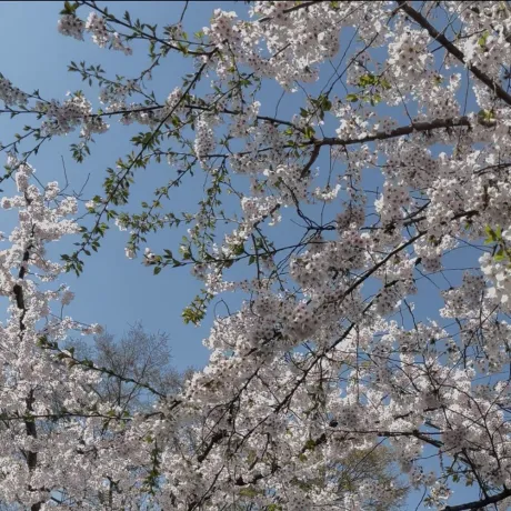 今週について 💕/新人なおさん[弘前]