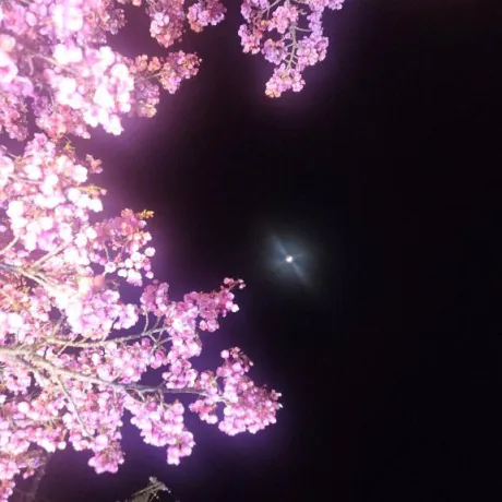 体験　ののは　奥様のブログ 郡山Hギャラリー