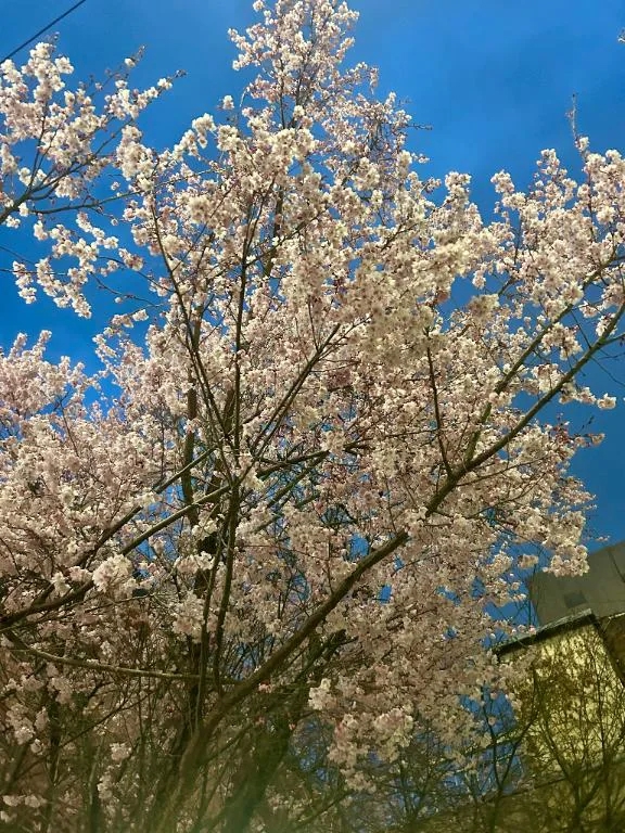 ひなたすごいエステ　仙台店