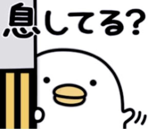 24h⏰しゆつきんしました